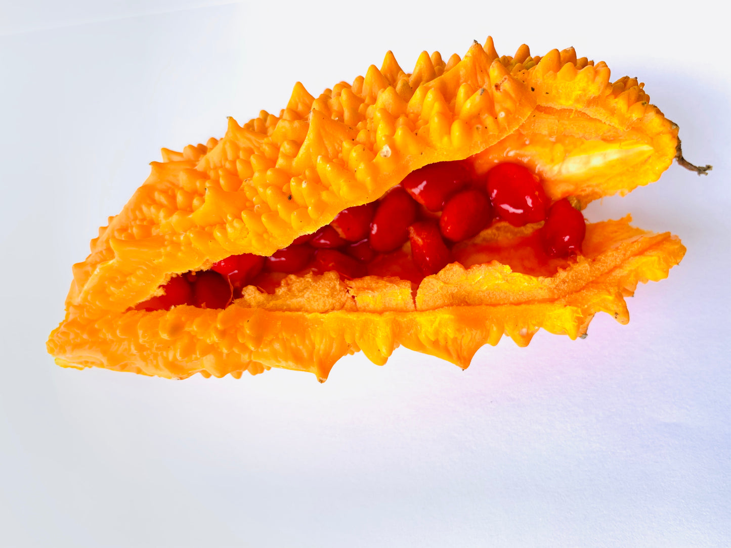 Bitter Gourd Heirloom - 30 Seeds