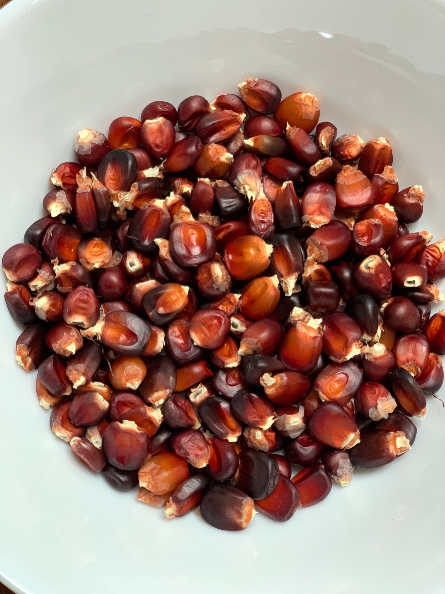 Bloody Butcher Corn Dent - 50 Seeds