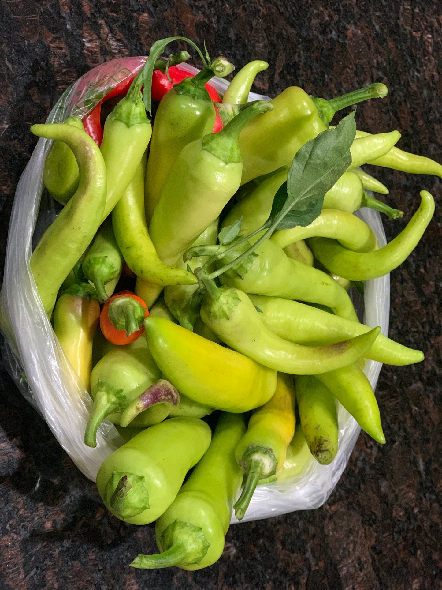 Banana Pepper - Non GMO Hungarian Yellow Wax Hot - 100 seeds per pack
