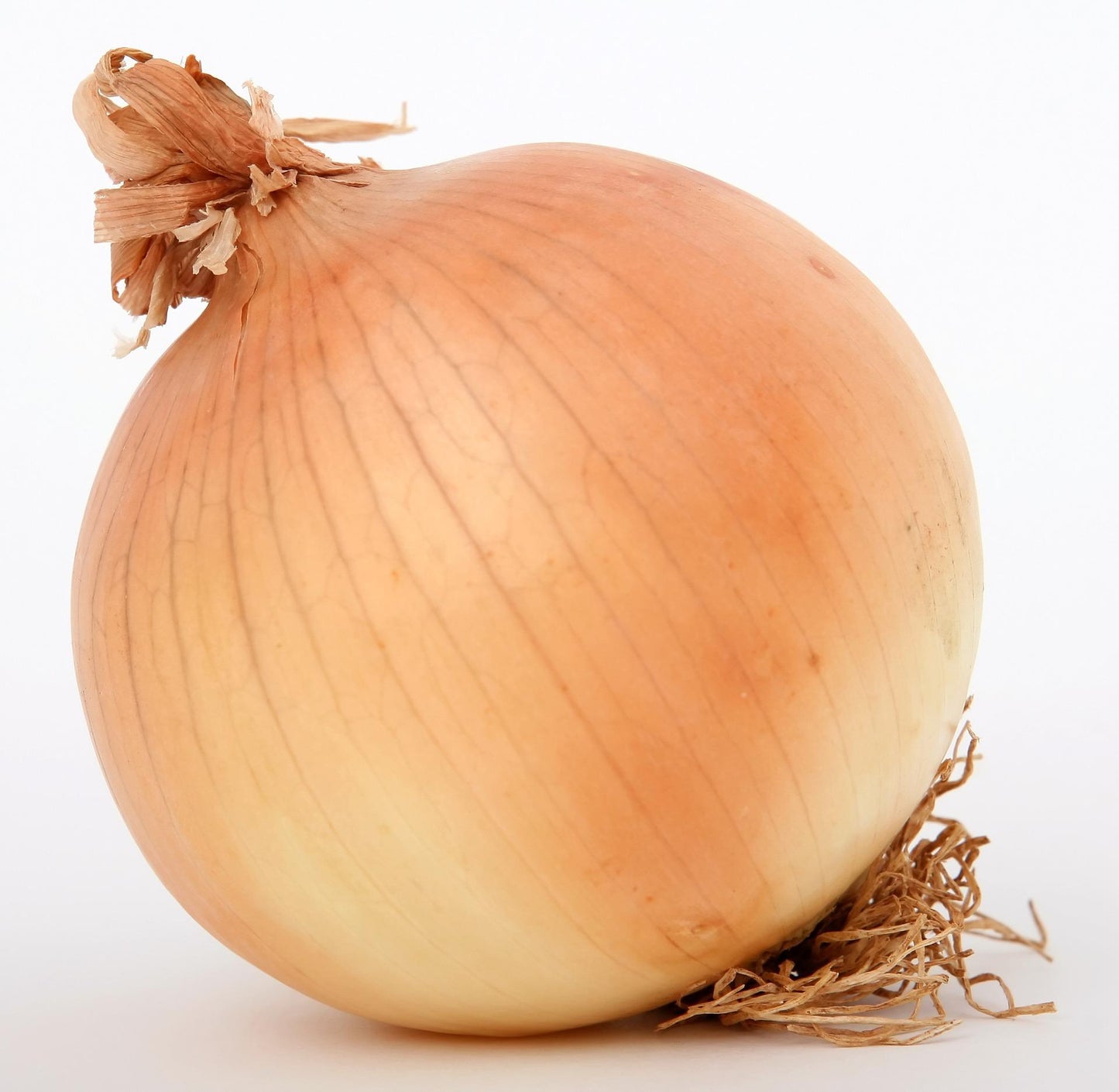 Walla Walla Onion vegetable seeds