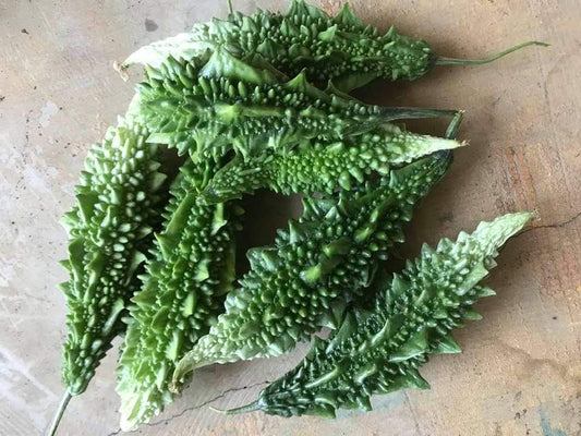 Bitter Gourd Heirloom - 30 Seeds