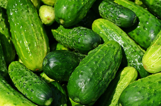 Boston Pickling Cucumber Seeds - 50 Seeds