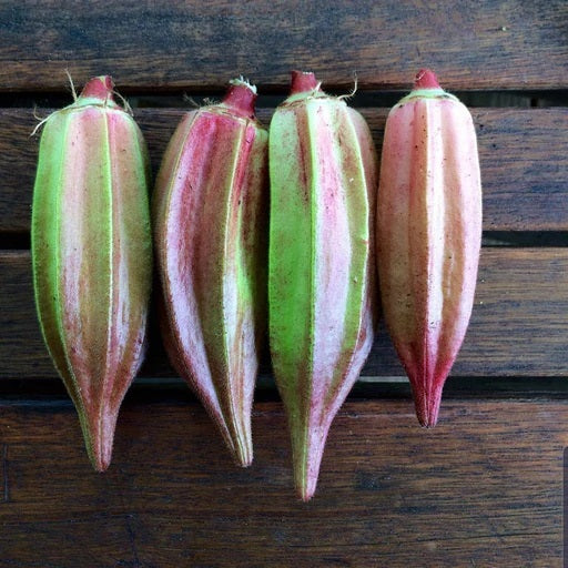 Hill Country Red Okra Seeds - Non-GMO - 50 Seeds