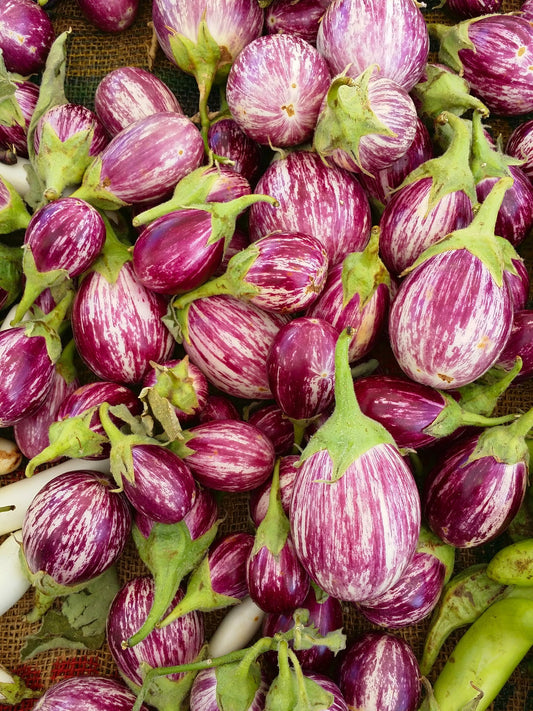 Eggplant Purple and White Striped - Open Pollinated - 50 Seeds