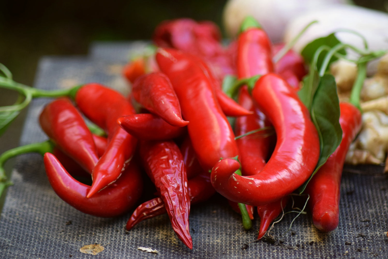 Kashmiri Chilli pepper SEED- Heirloom and Organic pepper - 50 Seeds