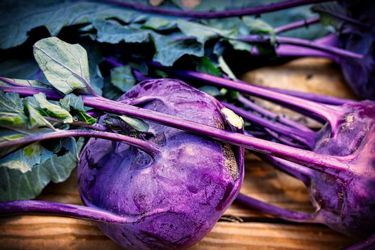 Kohlrabi Seeds - Purple Vienna - Microgreen - 100 Seeds