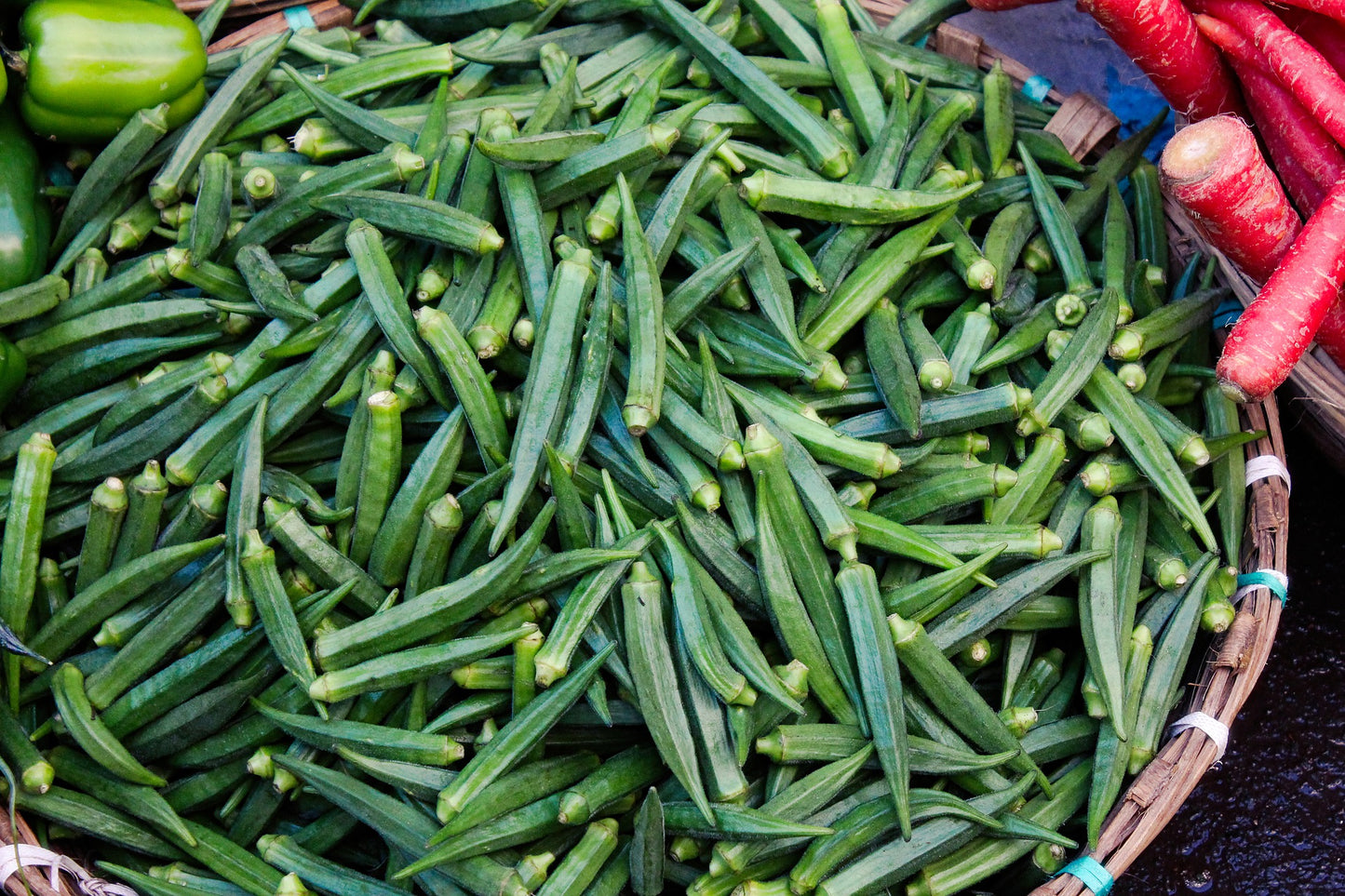 Clemson Spineless Okra Seeds HEIRLOOM - 100 Seeds