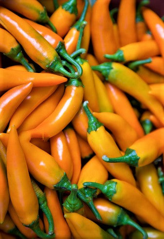 Bulgarian Carrot Hot Pepper Vegetable Seeds - 50+ seeds per pack