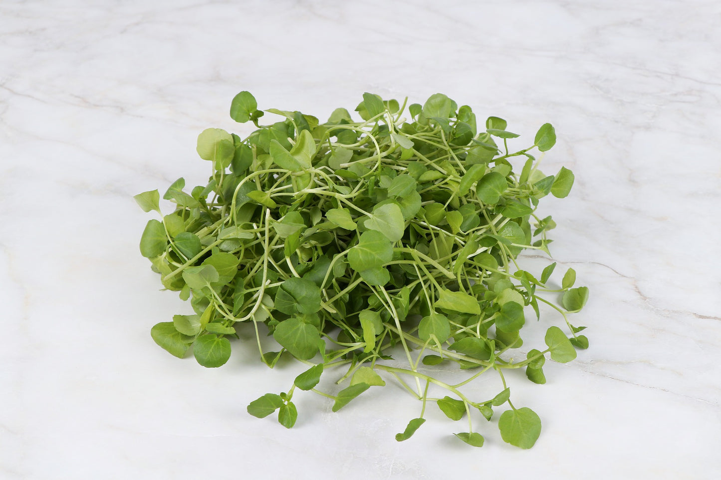 Water Cress Plant Seeds