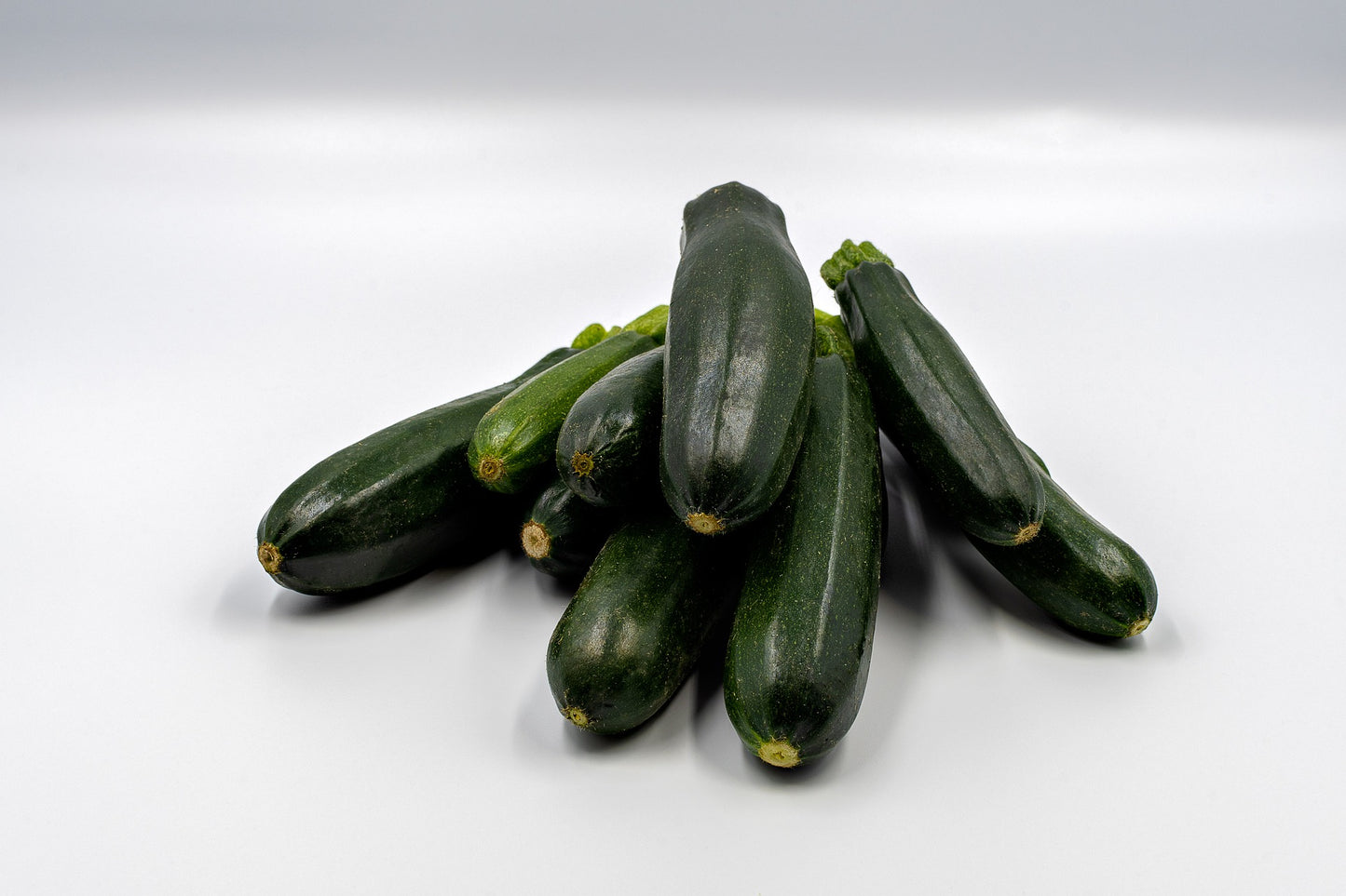 Summer Squash